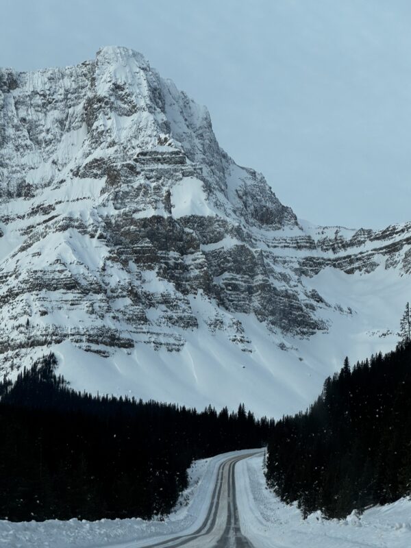 Icefields Parkway, Lake Louise to Jasper. Image Image © PlanetSKI